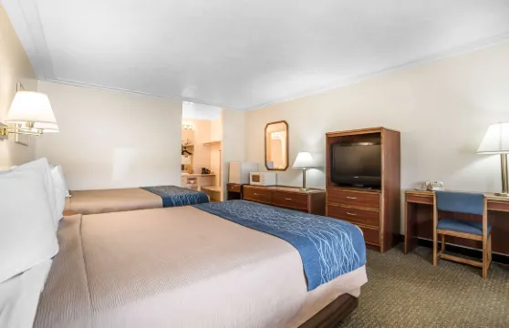 普朗霍恩洛治羅德威酒店