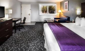 Best Western Desert Villa Inn