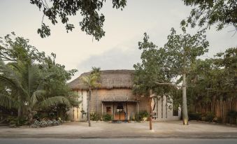 Hotel Ma'Xanab Tulum