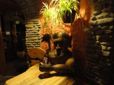 a wooden table with a statue and a guitar placed on it , surrounded by potted plants at Troll