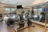 Comfort Suites Ontario Airport Convention Center - Gym