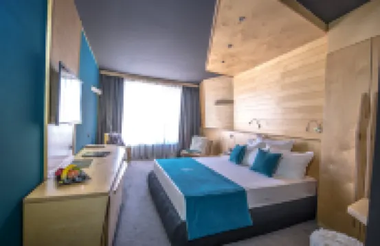Hotel Arte Spa & Park