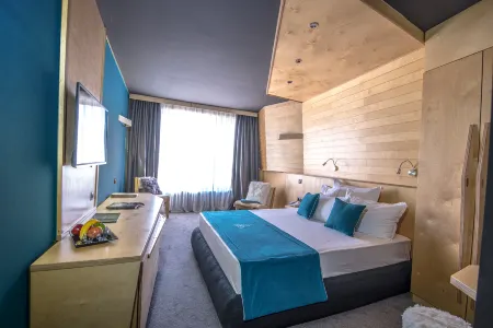 Hotel Arte Spa & Park
