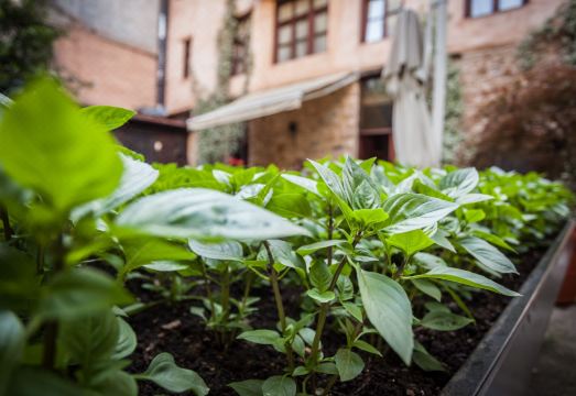 1. 디럭스 부티크 ..