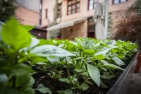 Boutique Hotel Palea Poli Hotels in Naousa