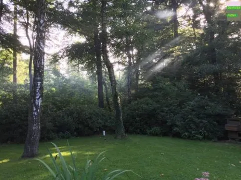 森林小屋度假屋