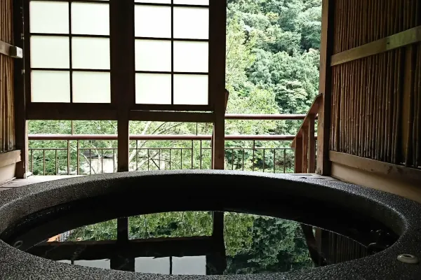 谷關溫泉, 臺中谷關龍谷觀光飯店