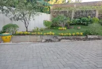 Coconut Hotel Hotels in Semen