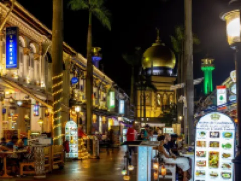 MET A Space Pod @ Arab Street Singapore Hotels near Little India