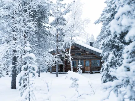 Kelosaajo Отели в г. Fell Lapland