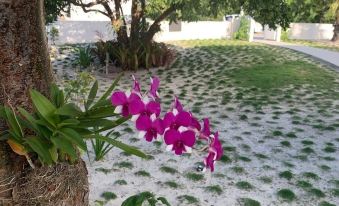 Gumbo Limbo 3 Bedroom Home