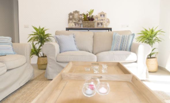 2. 팔라초 스파시아..