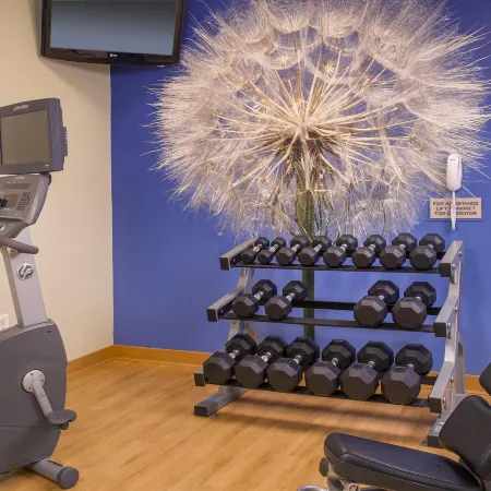 SpringHill Suites Raleigh-Durham Airport/Research Triangle Park
