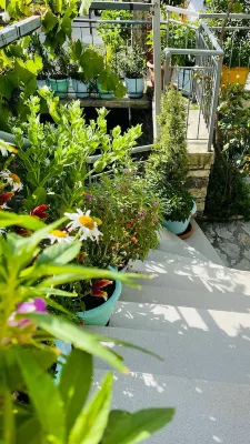 Denis Guest House