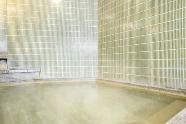 가미스와 스테이션 호텔(Kamisuwa Station Hotel)_2