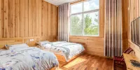田园居农家空中田园店民宿(空中田园分店) - Standard -Doppelzimmer