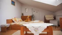 Pamir Guest House Hotels near Central Balkan National Park