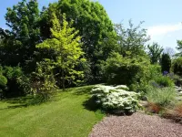 Solrosen I Simrishamn - Österlen