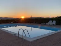 Lavender - Swimmingpools