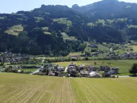 Neuner