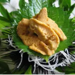 Wakasa Mikata Seafood Restaurant Seifuso (Fukui) - 2-Star