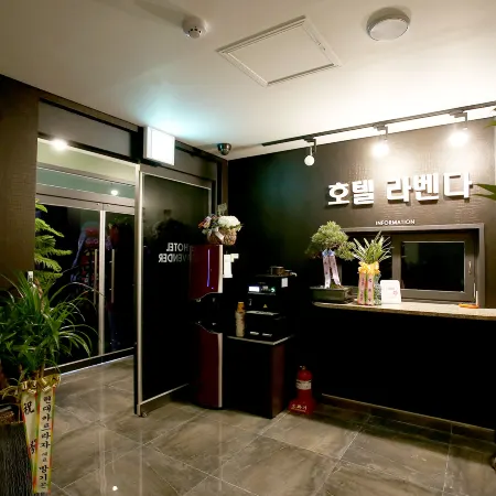 Chuncheon Hotel Lavender