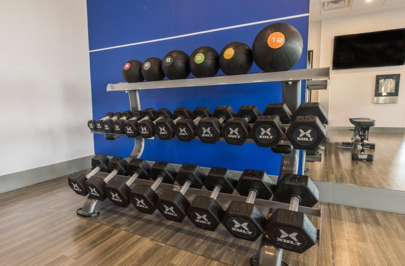 Holiday Inn Express & Suites Toronto Airport South by IHG photo 5
