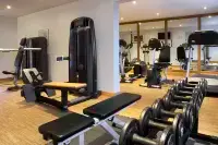 Holiday Inn STUTTGART by IHG - Phòng tập thể hình
