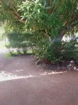 Tapuhere Lodge Hotels in Fare