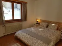 Ferienwohnung Dentervitgs Hotels in Tujetsch