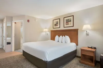 Suburban Studios Waterloo Hotels in Waterloo