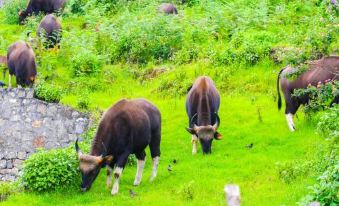 Kodai Outdoor Valley