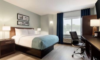 Wingate by Wyndham Salisbury