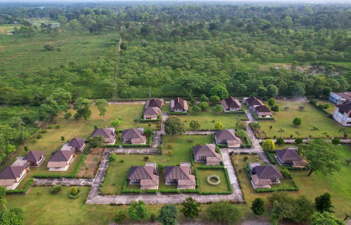 Musa Jungle Retreat