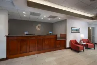 Comfort Inn & Suites Dahlonega University Area