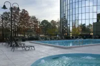 Hilton Memphis - Rooftop Pools