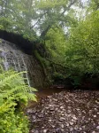 Secluded Little hideaway in the  beautiful mountains of Llanwonno.