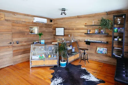 Tokyo Starfish -  "Bud-And-Breakfast"