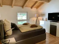 Thuringian Forest residence town Schleusingen - Pets allowed! Hotels in Schleusingen