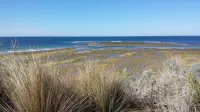 PARKSIDE BEACH HOUSE DOG FRIENDLY 450m BEACH