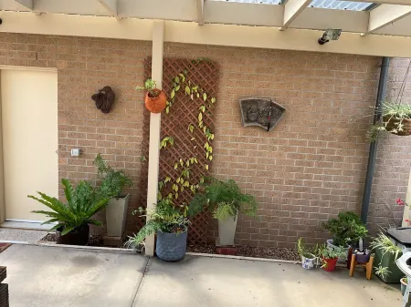 Searenity only 750 m to the beach, pet friendly Отели в г. Сейнт Леонардс