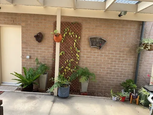 Searenity only 750 m to the beach, pet friendly