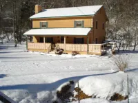 FARM ANIMALS: RESCUES, Mini HORSES and mini DONKEYs; - Farmhouses