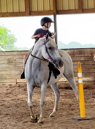 Easy drive to Covington square. Safe gated property.