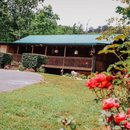 "Our Life" Creekside, Trout Fishing, Fire Pit, Hot Tub, WiFi and More...