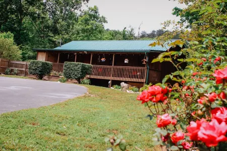 Great Location, Creekside, Trout Fishing, Fire Pit, Hot Tub & WiFi