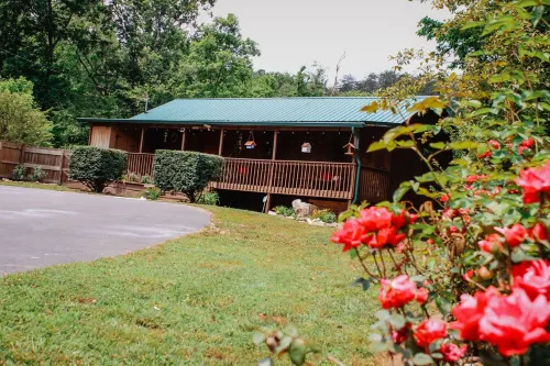 "Our Life" Creekside, Trout Fishing, Fire Pit, Hot Tub, WiFi and More...