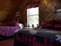 Cedar Lodge is quaint rustic lodge with modern amenities. Relaxing and warm! Hotels in Cedar County
