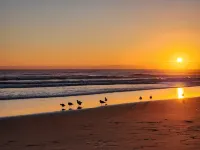 Cozy beach condo with ocean access. Easy drive to Santa Cruz or Monterey. - pantai