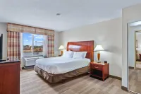 Hilton Garden Inn Starkville Hotels in Oktibbeha County